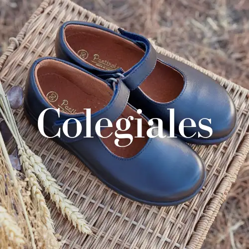 Subcategoria Zapatos Colegio Niñas