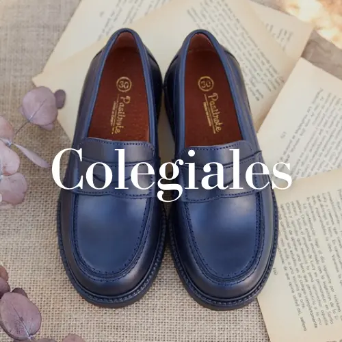 Subcategoria Colegiales zapatos